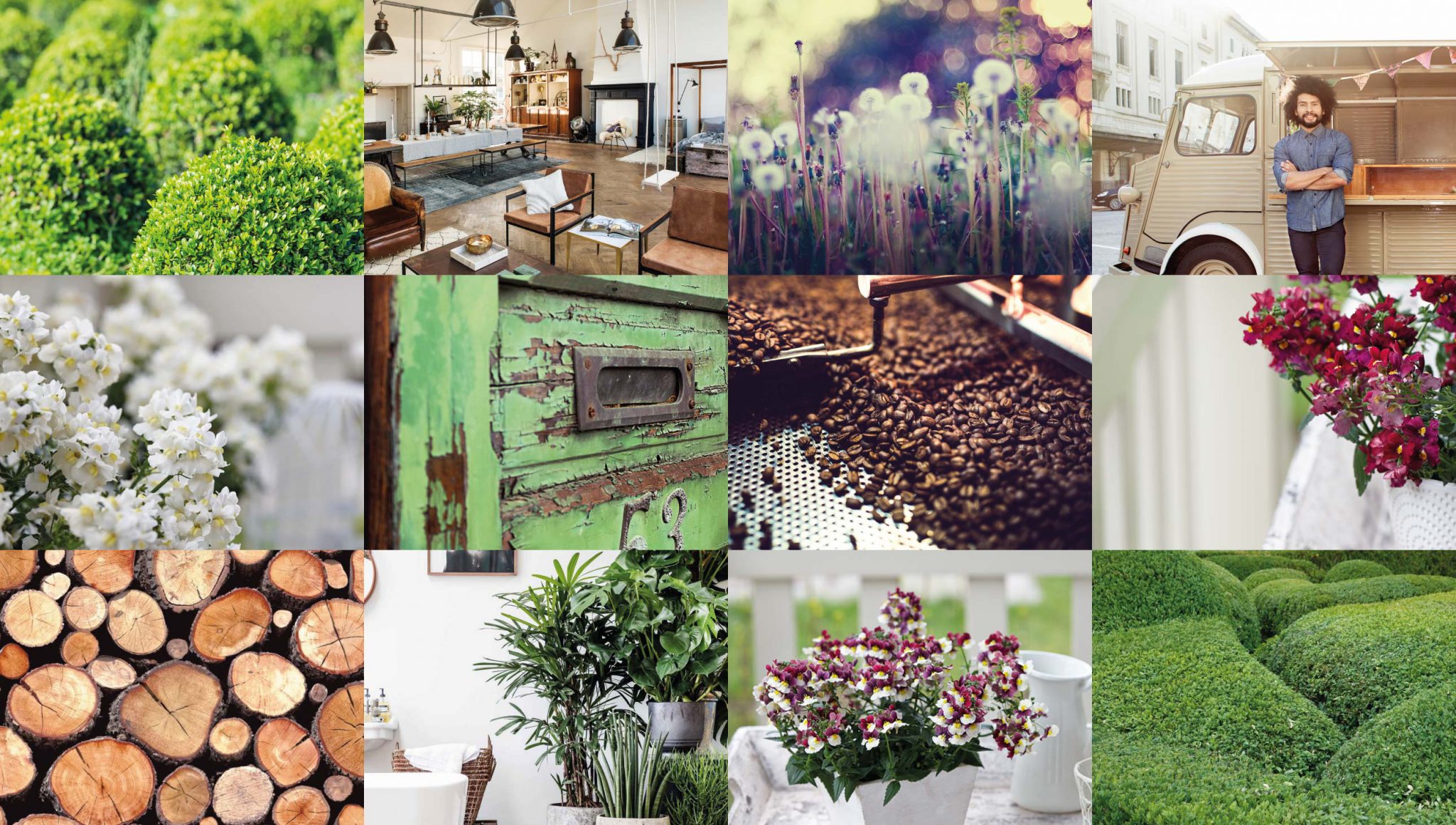 SUNPEDDLE® | The perfect Urban Nemesia | banner